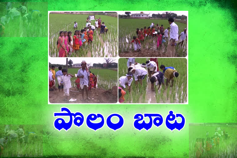 Students examining tasks on the agri farm in nellore