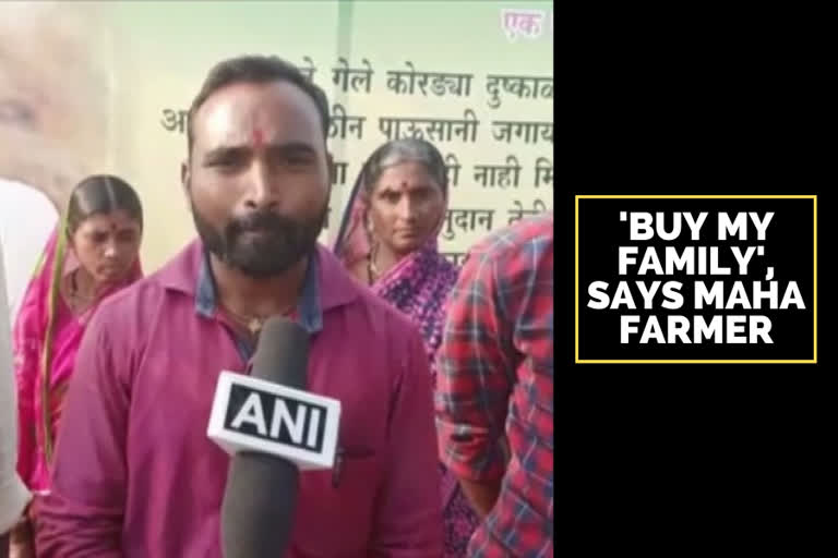 'Buy my family', rain affected Maha farmer puts up board in field