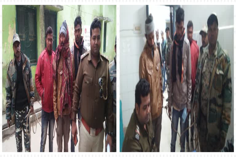 Three Nilgai hunter arrested in kaimur