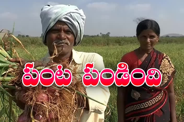 ananthapuram-farmer-success-story