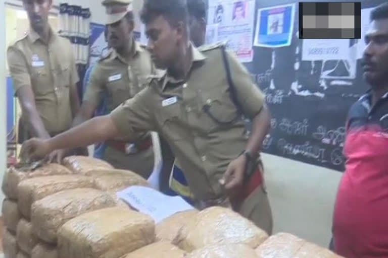 80 kg cannabis seized  Rameswaram police  Narcotics dept  Tamil Nadu news  ചെന്നൈ വാർത്ത  രാമേശ്വരം  ജില്ലാ പൊലീസ് സൂപ്രണ്ട് വരുൺ കുമാർ  തമിഴ്‌നാട് പൊലീസ്