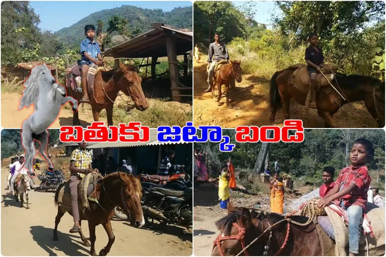 tribals in vishaka agency depends on horses for travel