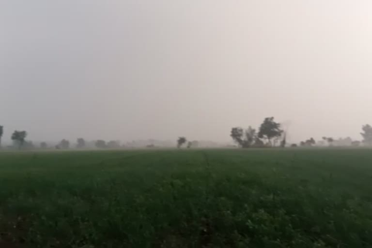 heavy-rainfall-in-nashik-district