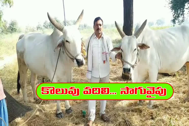 best farmer in suryapet district