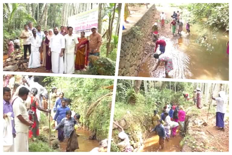 chekkod panchayath canal cleaning തോട് ശുചീകരണ യജ്ഞവുമായി ചീക്കോട് പഞ്ചായത്ത് ചീക്കോട് പഞ്ചായത്ത് chekkod panchayath