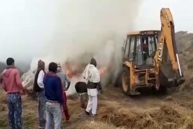 stubble burned in gohana