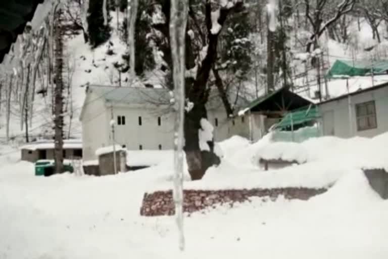 tourist enjoying Weather in Manali