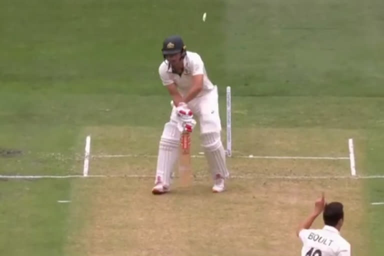 australia vs new zealand boxing day test : trent boult amazing bowled to joe burns viral video