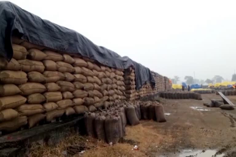 Paddy jam in centers