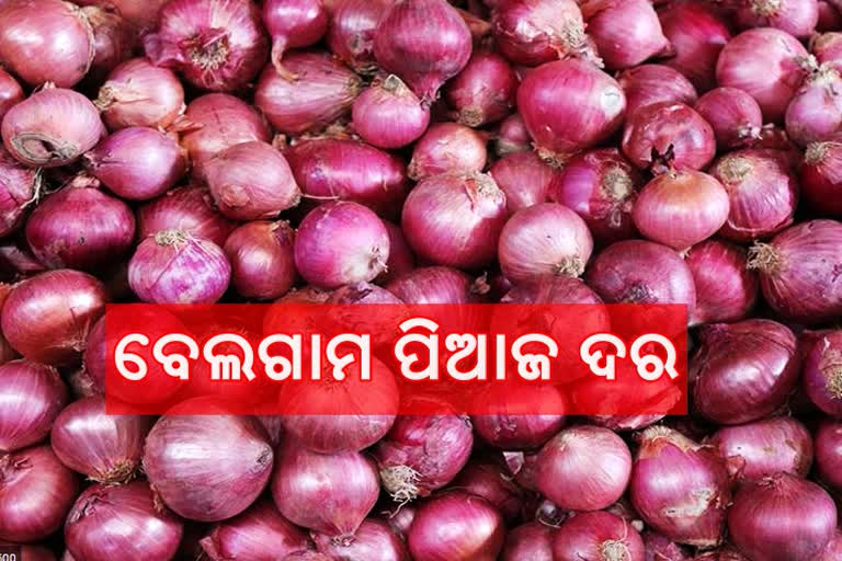 onion price high