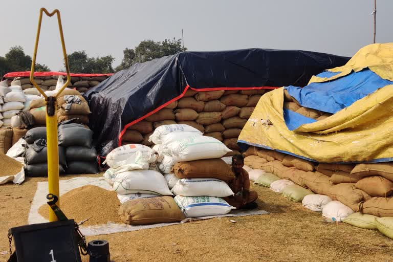 Shadow crisis on paddy purchase due to bad weather