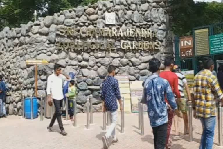 Mysuru Zoo finds novel way to tackle plastic menace