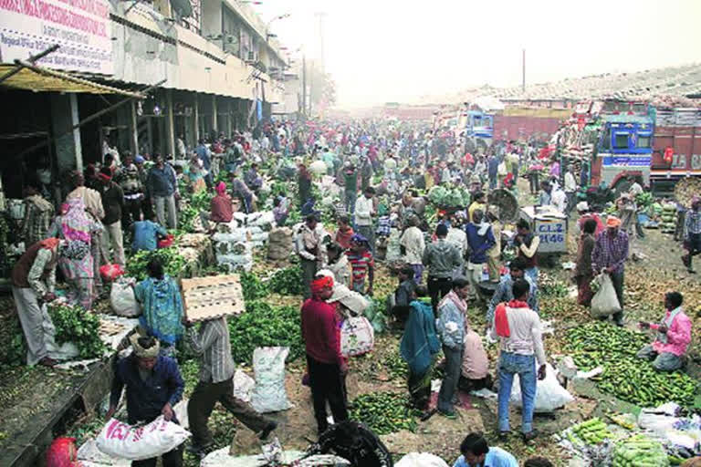 An unprecedented increase in the prices of vegetables in the capital