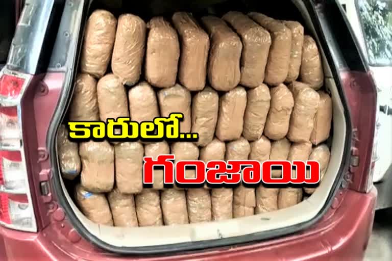 400 kg ganja seized in Old City hyderabad