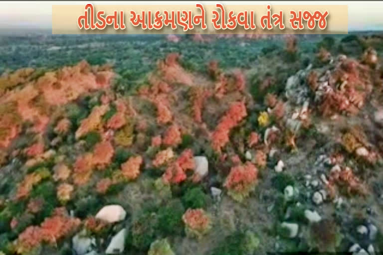 Etv Bharat, Gujarati News, Banaskantha News, Loctus Attack