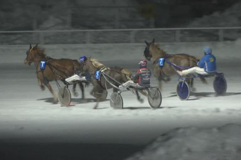 The first-ever Arctic Horse Race