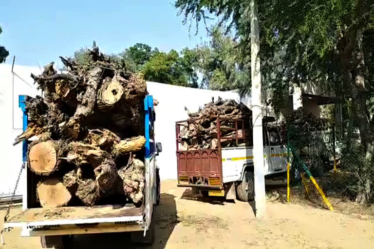 Four pick-up three tractor seized, churu news, चूरू न्यूज