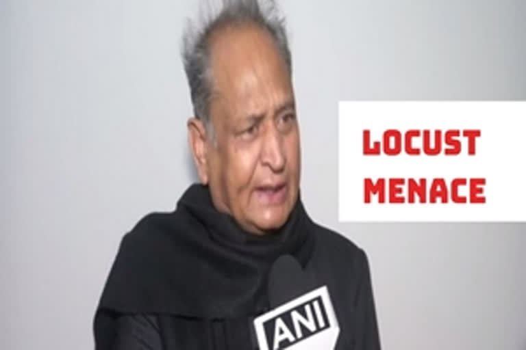 Rajasthan Chief Minister Ashok Gehlot (file image)