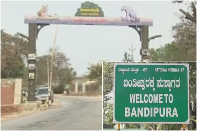 Chamarajanagar: Bandipura residence is not available during year end