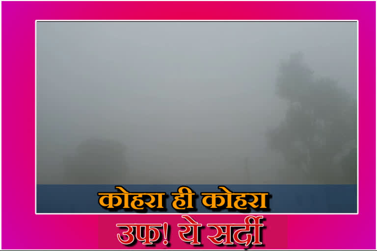 Winter is falling in Rajasthan, temperature reaches minus in 3 cities and towns at rajasthan, cold in rajasthan, राजस्थान में सर्दी, राजस्थान में सर्दी का असर