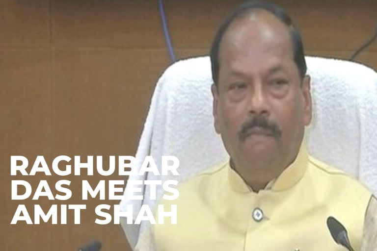 Jharkhand acting CM Raghubar Das meets Amit Shah in Delhi