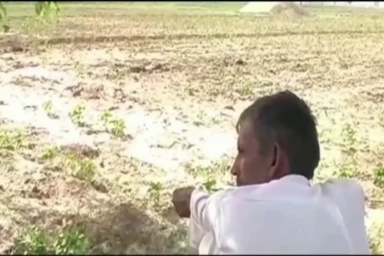 हरियाणा के किसानों के लिए घाटे का सौदा बन रही है खेती