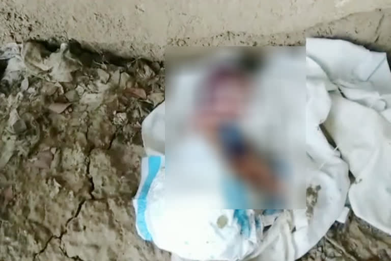 Newborn found in Bhind government secondary school ground