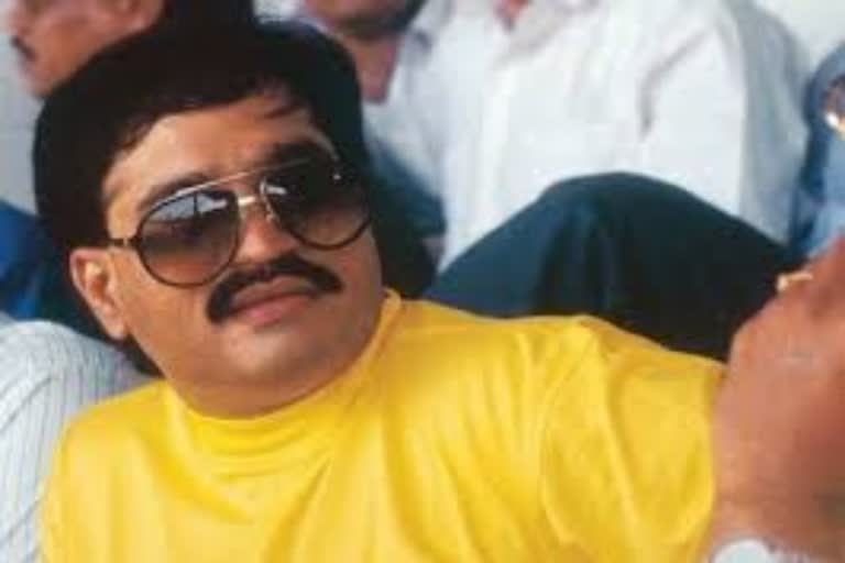 dawood ibrahim