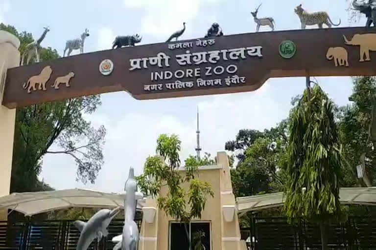 High quality cameras being installed in Kamla Nehru zoological museum