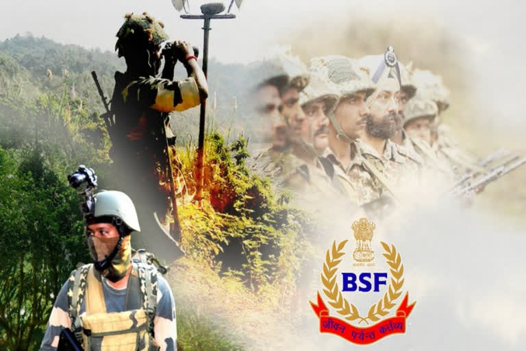 'Smart fence' along riverine Bangla border in Assam by July 2020: BSF DG