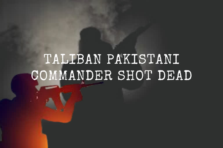 Pakistan  Taliban  Taliban commander  Qari Saifullah Mehsud  Mehsud killing  Tehrik-e-Taliban Pakistan  TTP  Islamabad  Key Pakistan Taliban commander Qari Saifullah Mehsud killed in Afghanistan  Qari Saifullah Mehsud killed in Afghanistan