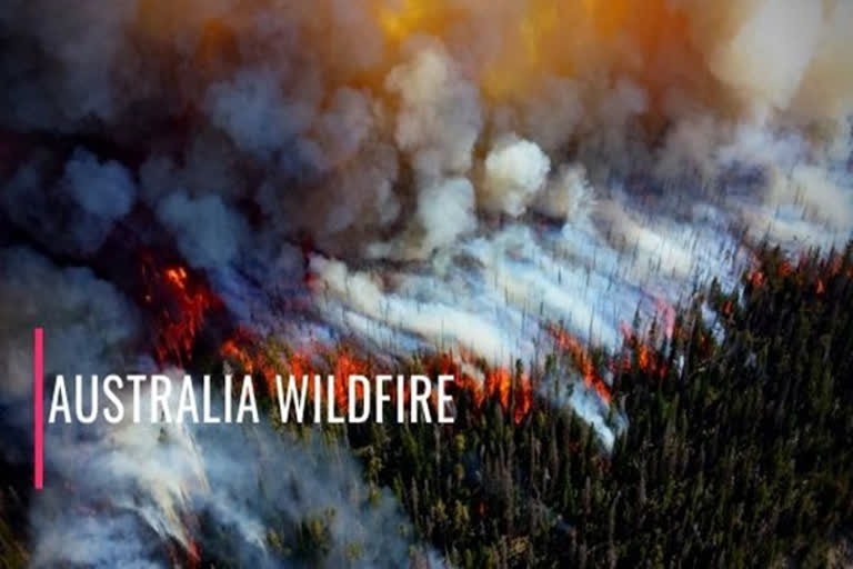 Australia wildfire