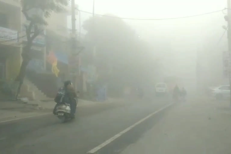 delhi fog