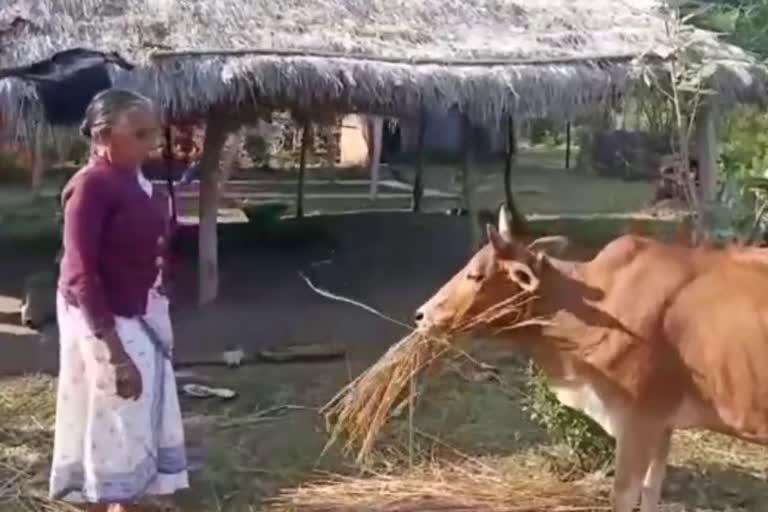 भतीजे ने संभाली है राज्य के 11वें मुख्यमंत्री की कमान, बुआ ने कहा राज्य और गरीबों का करें भला