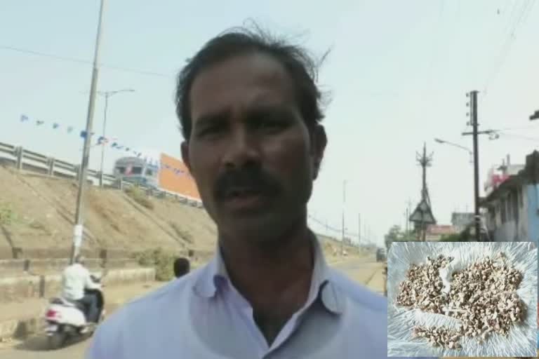 bhandara