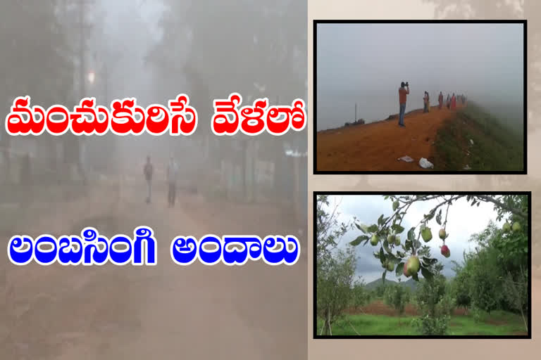 andhra-kashmir-lambasingi