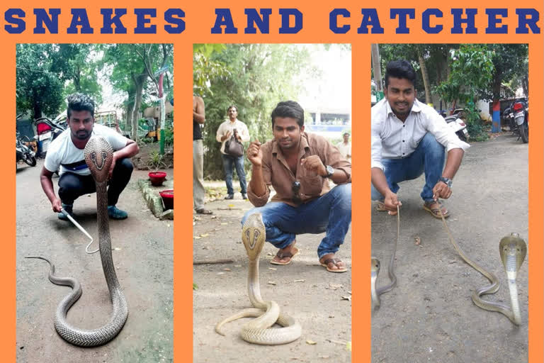 save the reptiles rescued around 10,000 snakes environment catches snake പാമ്പ് പിടിത്തം ആന്ധ്രാപ്രദേശ് പാമ്പ് പിടിത്തം ഉരഗ സംരക്ഷണം