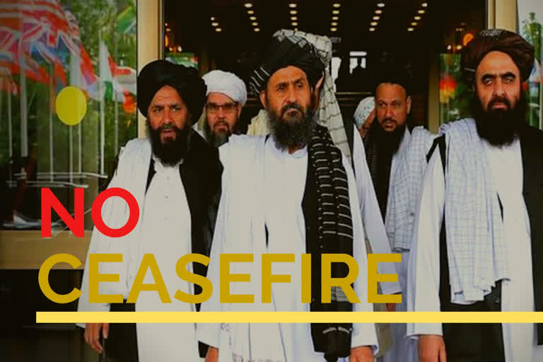 taliban group has agreed to a temporary ceasefire  taliban  taliban ceasefire  us  Taliban spokesperson Zabiullah Mujahid  താല്‍കാലിക വെടിനിര്‍ത്തല്‍ കരാറിന്‌ തയ്യാറെന്ന് താലിബാന്‍