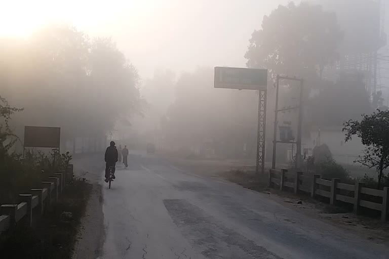 shade of fog reached 5 degrees Celsius