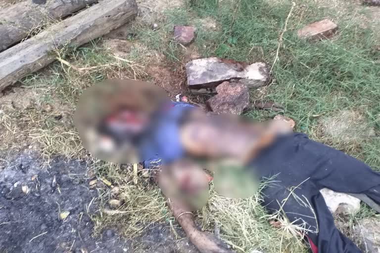 ಸಹೋದರನ ಮೇಲೆ ಕಲ್ಲು ಎತ್ತಿ ಹಾಕಿ ಕೊಲೆ , killed a brother at chitradurga