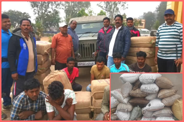 police ceazed 420kgs ganjai at vishaka paderu