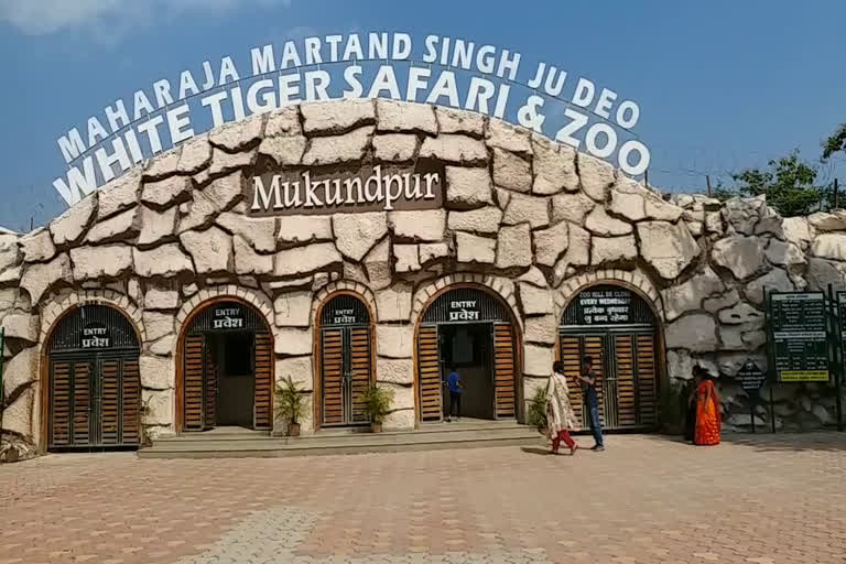 Mukundpur Zoo fully prepared for New Year Celebration