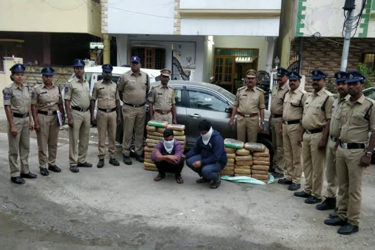 cannabis caught by excise police at balanagar in medchal district