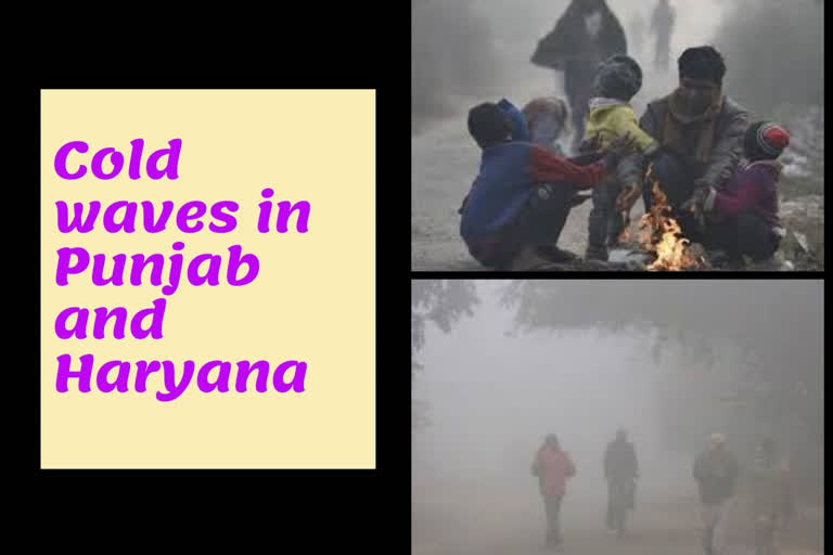 Freezing cold waves  Punjab and Haryana  A thick blanket of fog  Ludhiana coldest at 0.3 deg C  The MeT department  Predicted light to moderate rain  പഞ്ചാബിലെ ലുധിയാന  അതിശൈത്യം  ചണ്ഡിഗഡ്