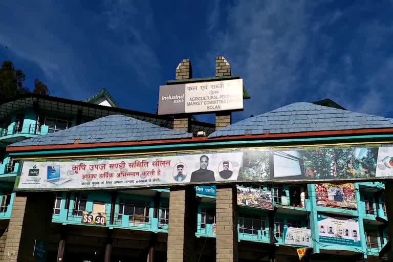 Solan vegetable market