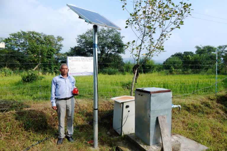 Solar fencing is beneficial for farmers