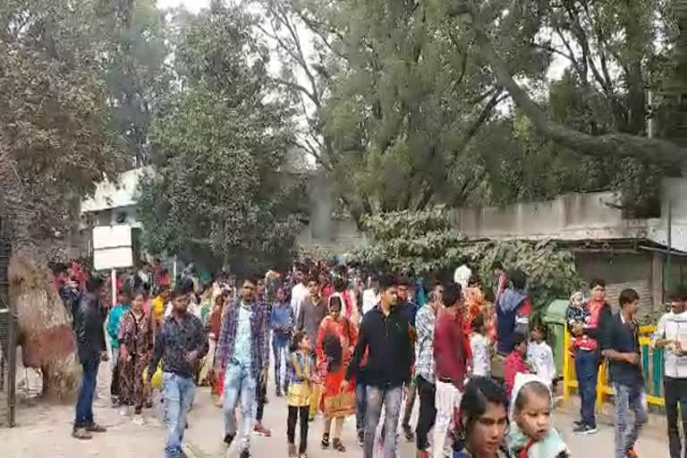 people in large number visit zoo