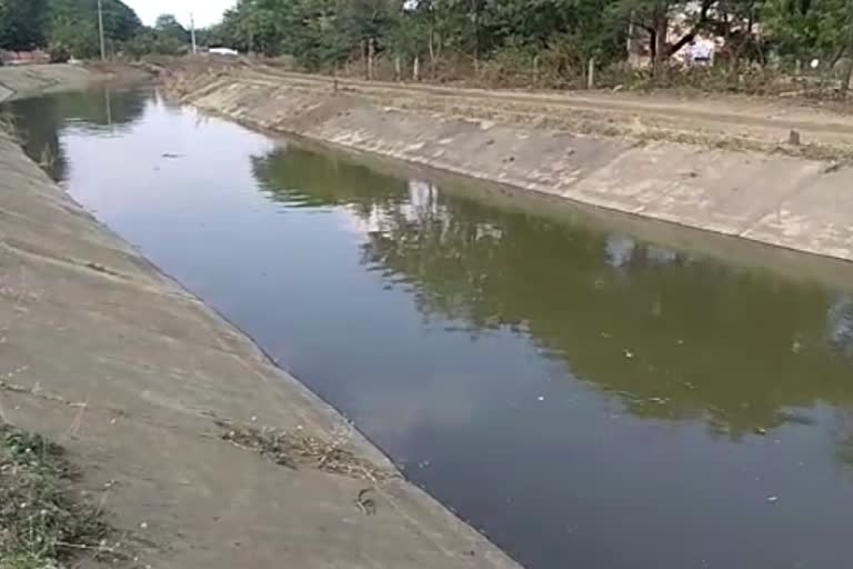 water released from the canals of lower Terna Dam