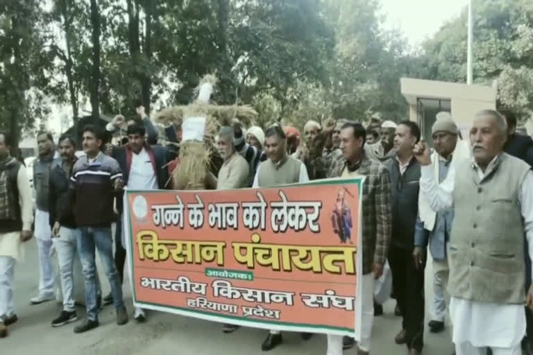 sugarcane farmer protest against govt. in yamunanagar