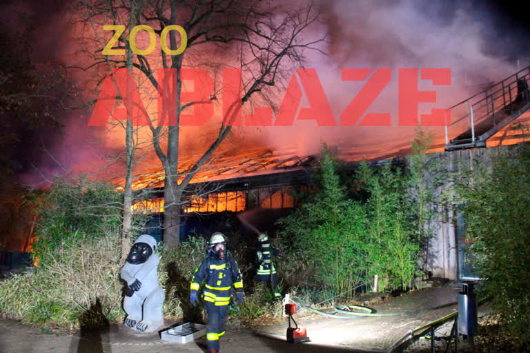 A fire at a zoo in western Germany killed a large number of animals in the early hours of the new year.